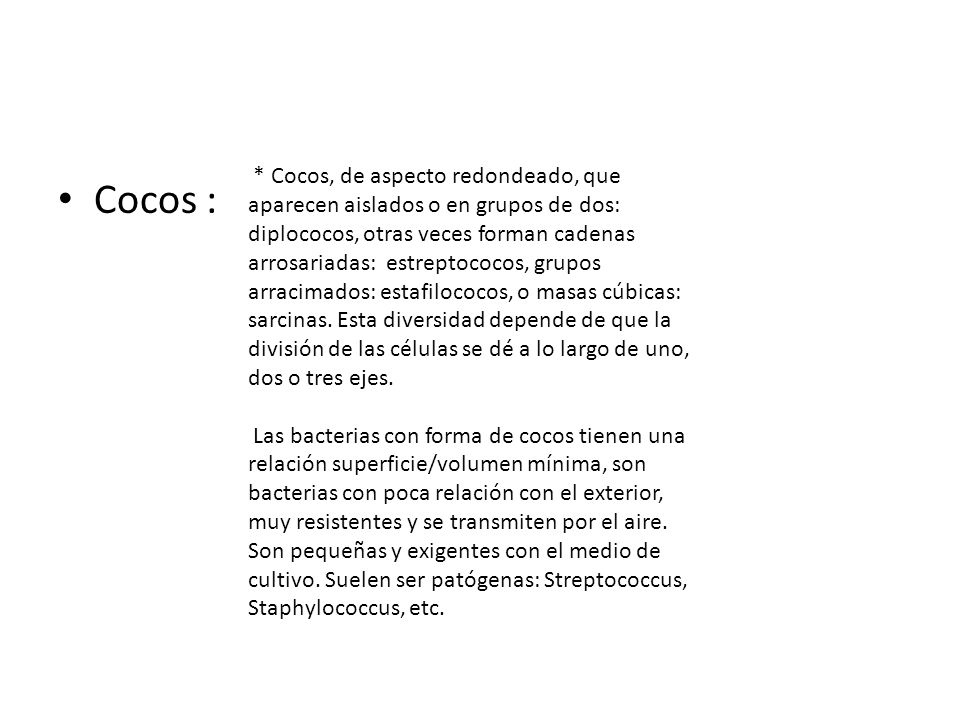 * Cocos, de aspecto redondeado, que aparecen aislados o en grupos de dos: diplococos, otras veces forman cadenas arrosariadas: estreptococos, grupos arracimados: estafilococos, o masas cúbicas: sarcinas. Esta diversidad depende de que la división de las células se dé a lo largo de uno, dos o tres ejes.