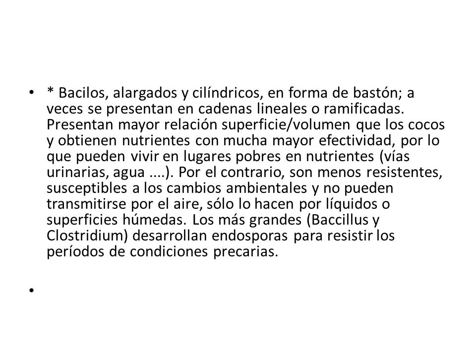 * Bacilos, alargados y cilíndricos, en forma de bastón; a veces se presentan en cadenas lineales o ramificadas.