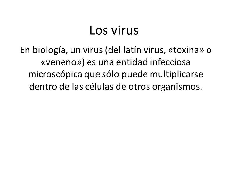 Los virus