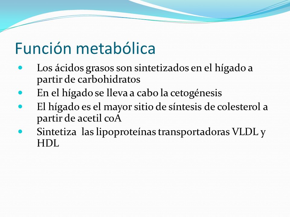 Función metabólica Los ácidos grasos son sintetizados en el hígado a partir de carbohidratos. En el hígado se lleva a cabo la cetogénesis.