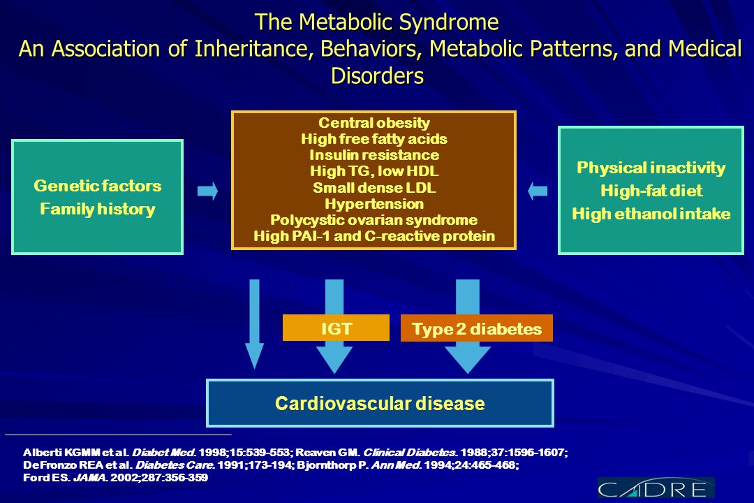 The Metabolic Syndrome An Association of Inheritance, Behaviors, Metabolic Patterns, and Medical Disorders