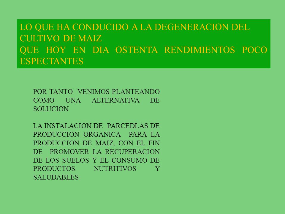 LO QUE HA CONDUCIDO A LA DEGENERACION DEL CULTIVO DE MAIZ