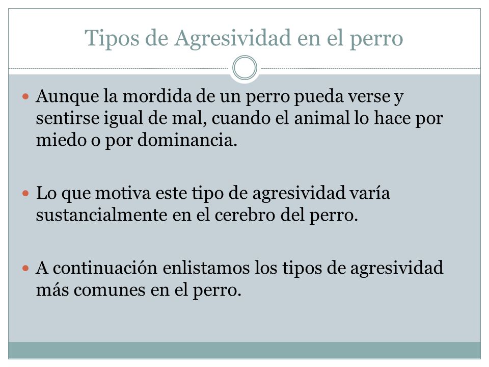 Tipos de Agresividad en el perro