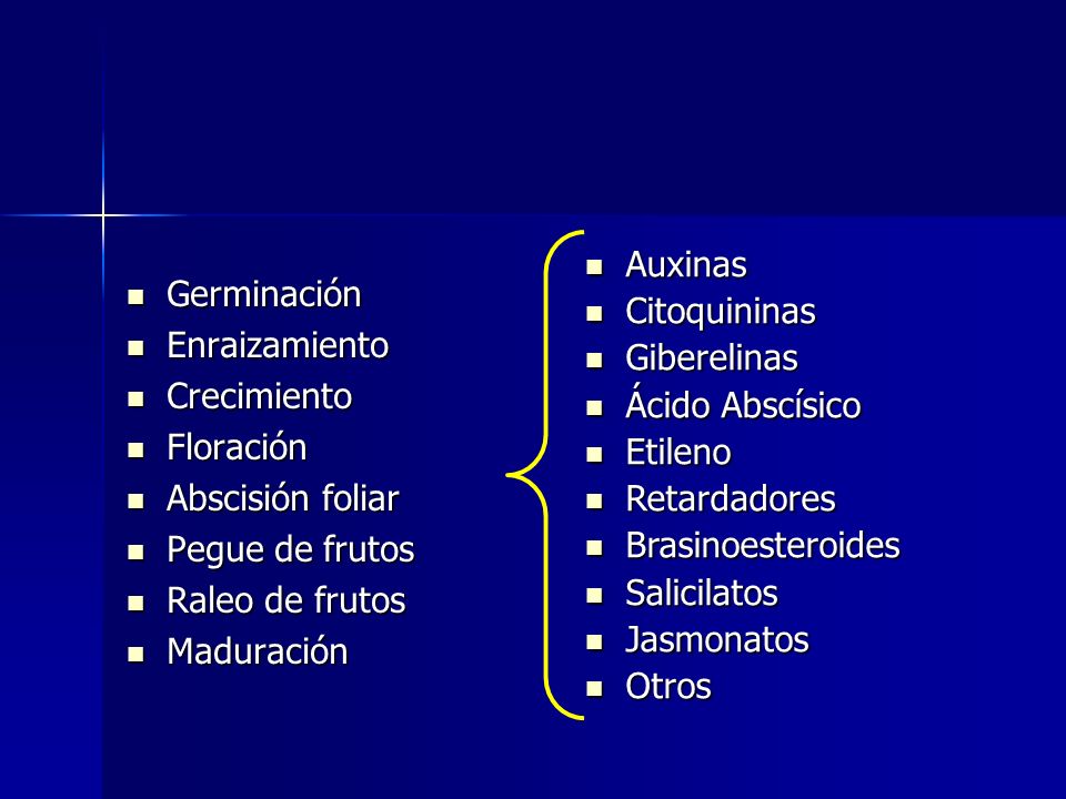 Auxinas Citoquininas. Giberelinas. Ácido Abscísico. Etileno. Retardadores. Brasinoesteroides. Salicilatos.