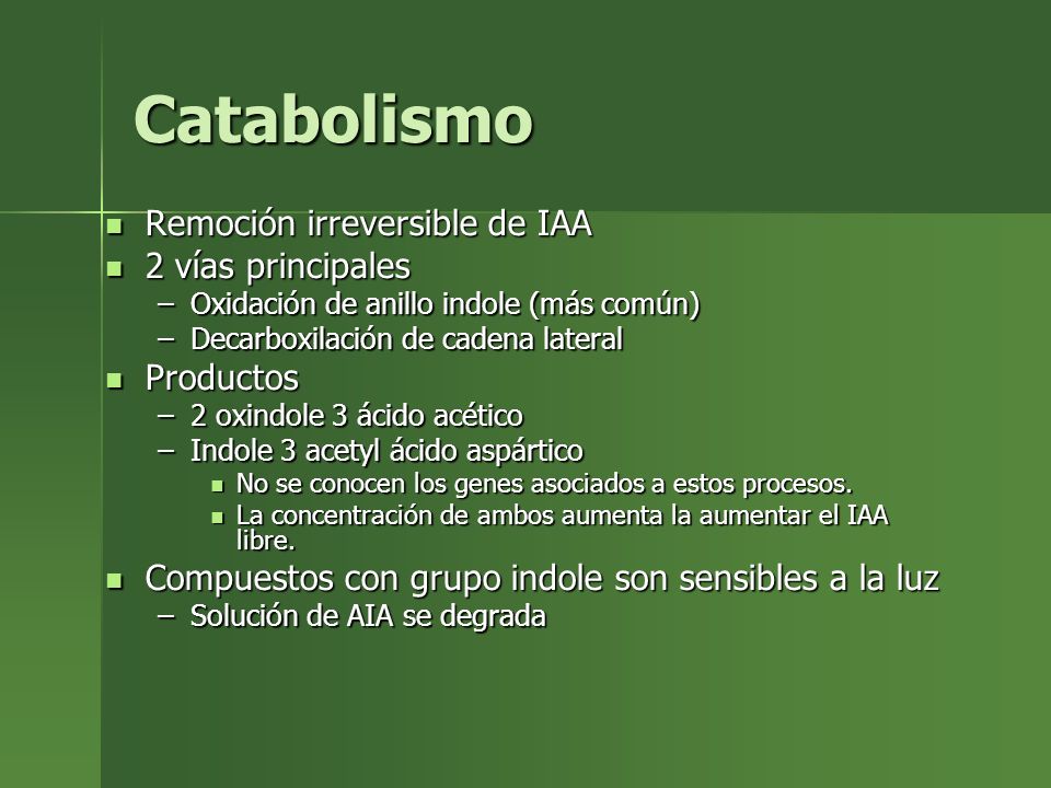 Catabolismo Remoción irreversible de IAA 2 vías principales Productos