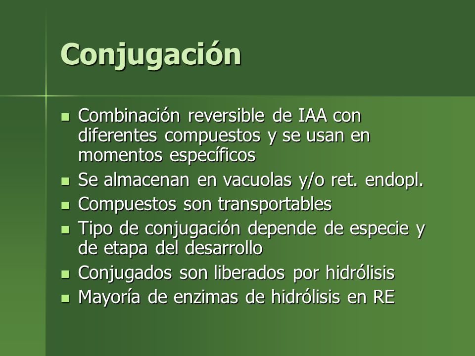 Conjugación Combinación reversible de IAA con diferentes compuestos y se usan en momentos específicos.