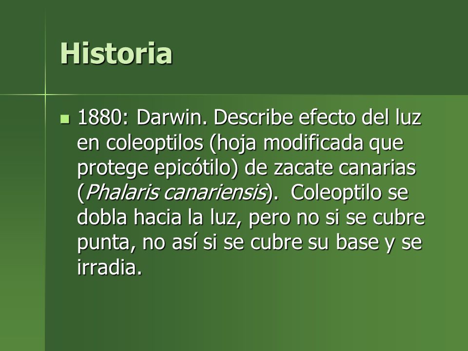 Historia