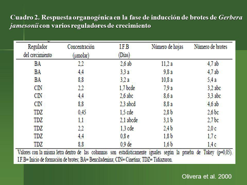 Cuadro 2. Respuesta organogénica en la fase de inducción de brotes de Gerbera jamesonii con varios reguladores de crecimiento