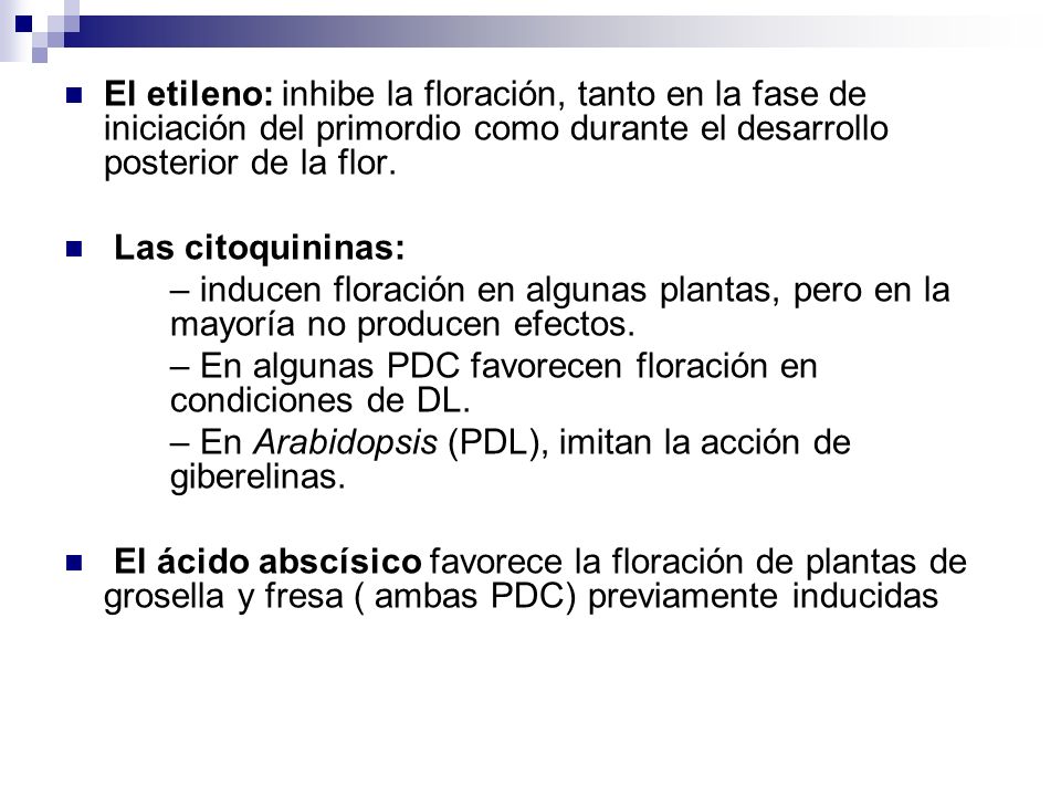El etileno: inhibe la floración, tanto en la fase de iniciación del primordio como durante el desarrollo posterior de la flor.