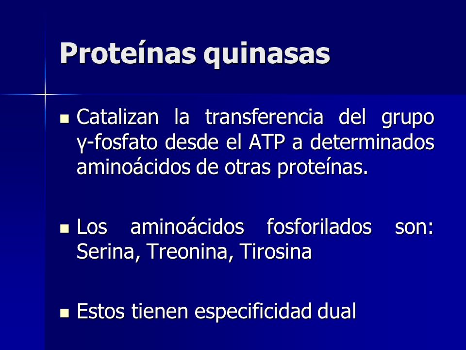 Proteínas quinasas Catalizan la transferencia del grupo γ-fosfato desde el ATP a determinados aminoácidos de otras proteínas.