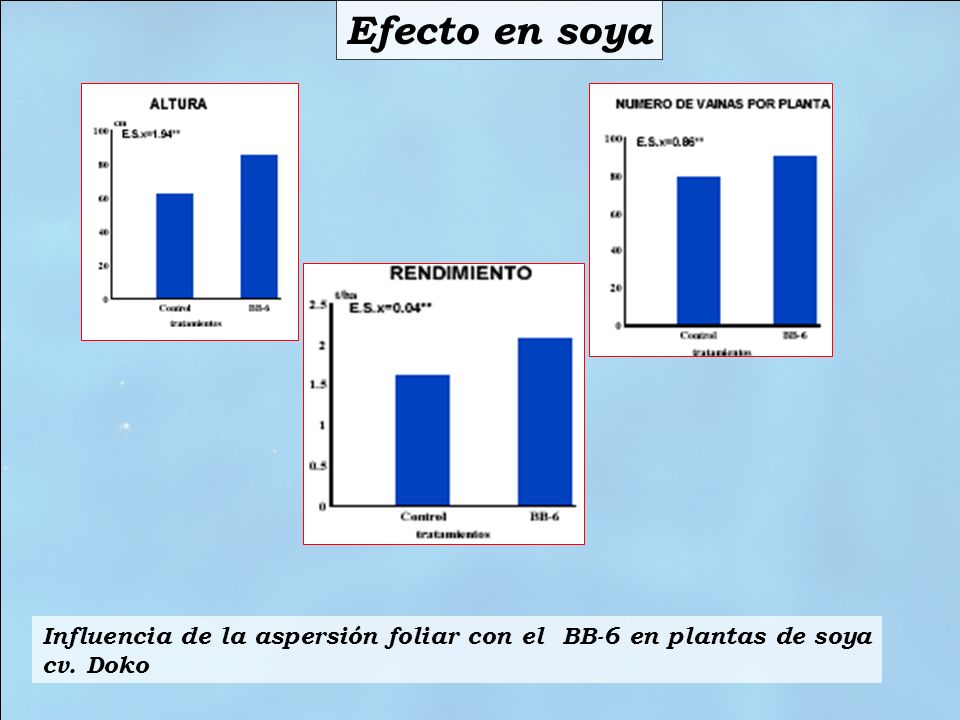 Efecto en soya Influencia de la aspersión foliar con el BB-6 en plantas de soya cv. Doko