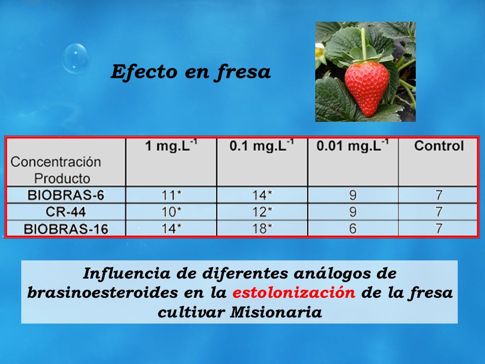 Efecto en fresa Influencia de diferentes análogos de brasinoesteroides en la estolonización de la fresa cultivar Misionaria.