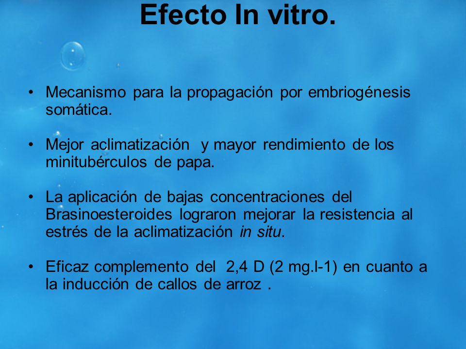 Efecto In vitro. Mecanismo para la propagación por embriogénesis somática. Mejor aclimatización y mayor rendimiento de los minitubérculos de papa.