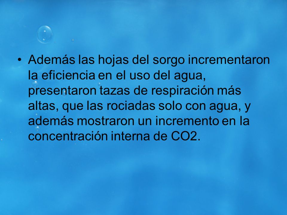 Además las hojas del sorgo incrementaron la eficiencia en el uso del agua, presentaron tazas de respiración más altas, que las rociadas solo con agua, y además mostraron un incremento en la concentración interna de CO2.