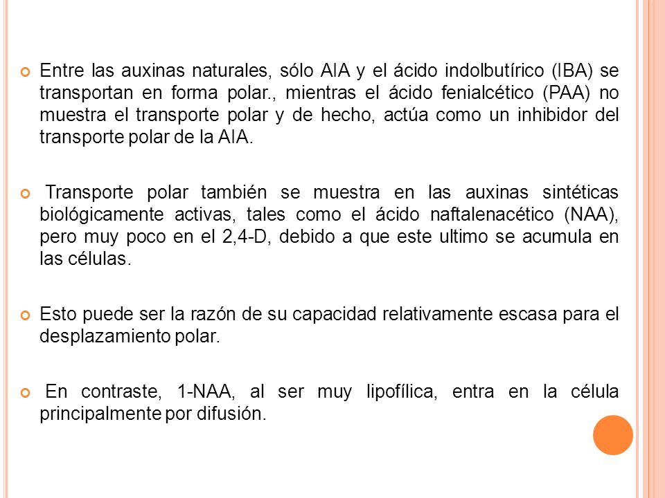 Entre las auxinas naturales, sólo AIA y el ácido indolbutírico (IBA) se transportan en forma polar., mientras el ácido fenialcético (PAA) no muestra el transporte polar y de hecho, actúa como un inhibidor del transporte polar de la AIA.