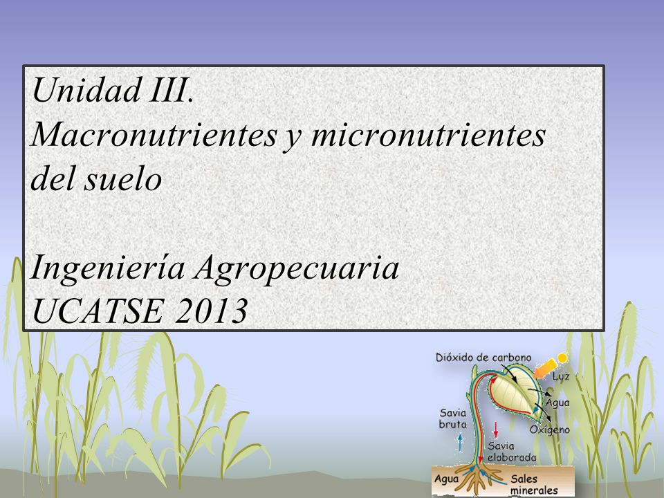 Unidad III. Macronutrientes y micronutrientes del suelo Ingeniería Agropecuaria UCATSE 2013