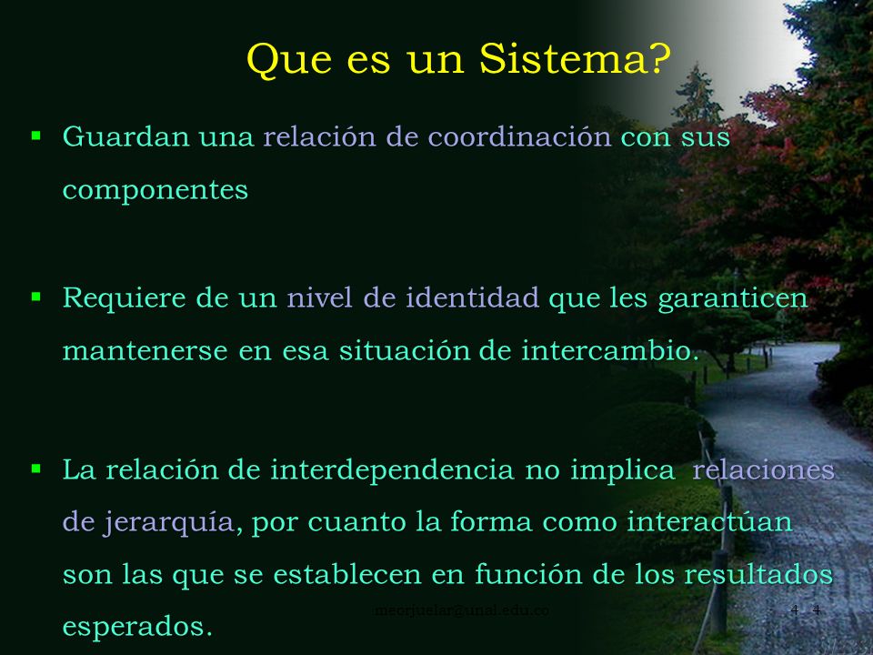 Que es un Sistema Guardan una relación de coordinación con sus componentes.