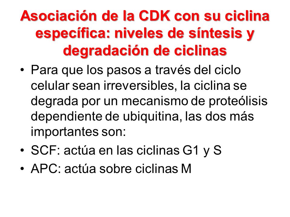 Asociación de la CDK con su ciclina específica: niveles de síntesis y degradación de ciclinas