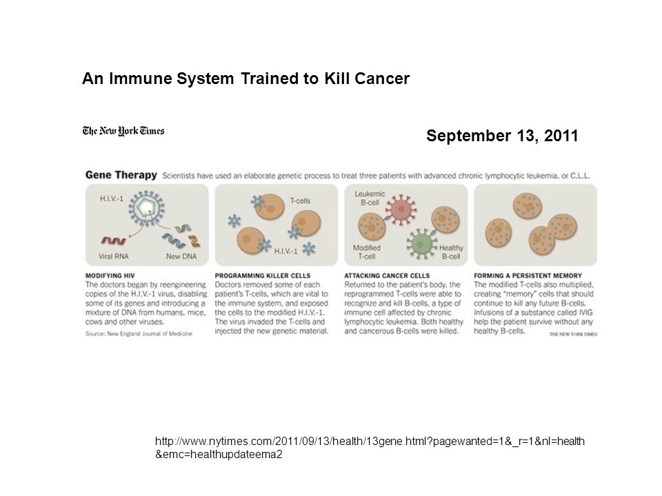 An Immune System Trained to Kill Cancer