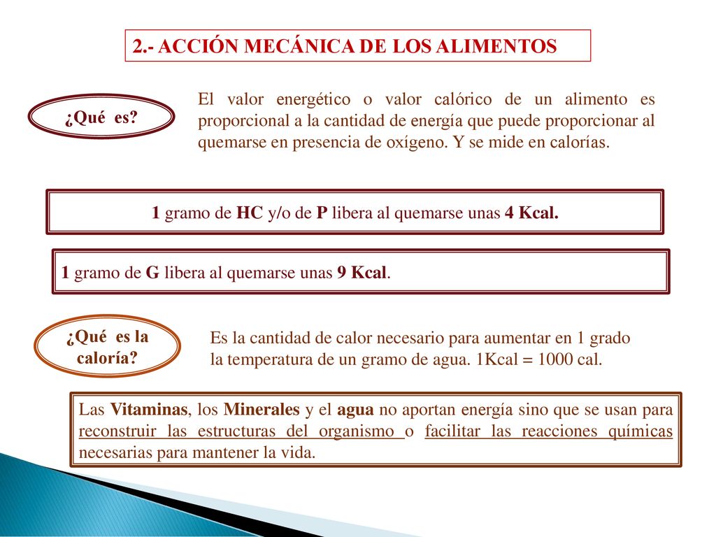1 gramo de HC y/o de P libera al quemarse unas 4 Kcal.