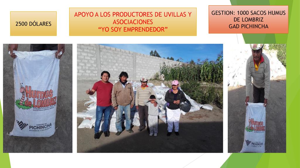 APOYO A LOS PRODUCTORES DE UVILLAS Y ASOCIACIONES YO SOY EMPRENDEDOR