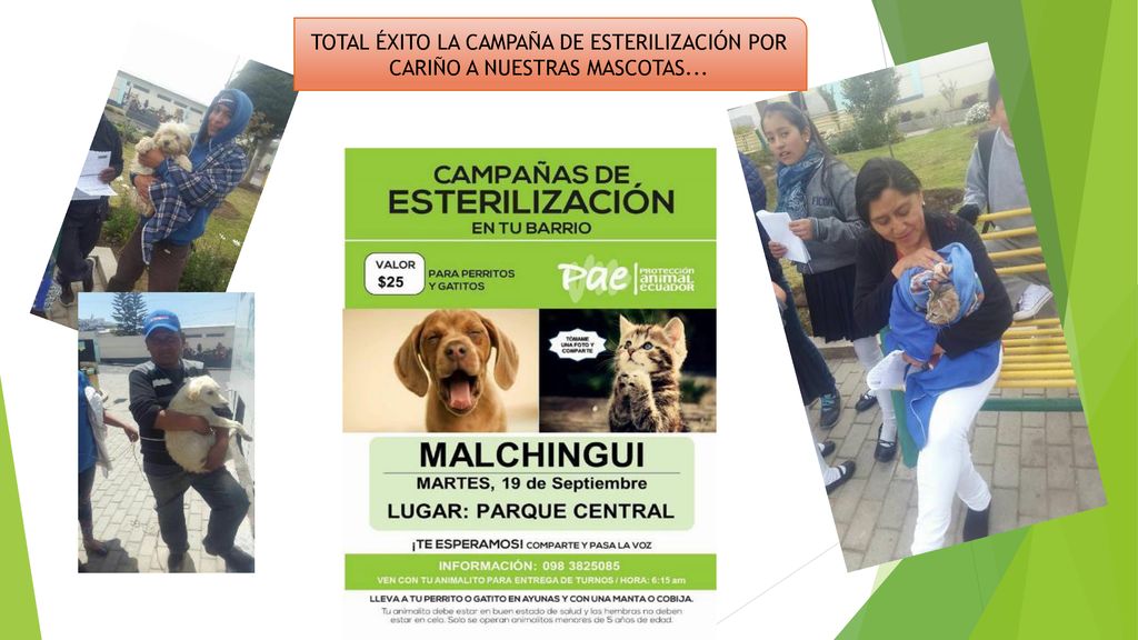 TOTAL ÉXITO LA CAMPAÑA DE ESTERILIZACIÓN POR CARIÑO A NUESTRAS MASCOTAS...