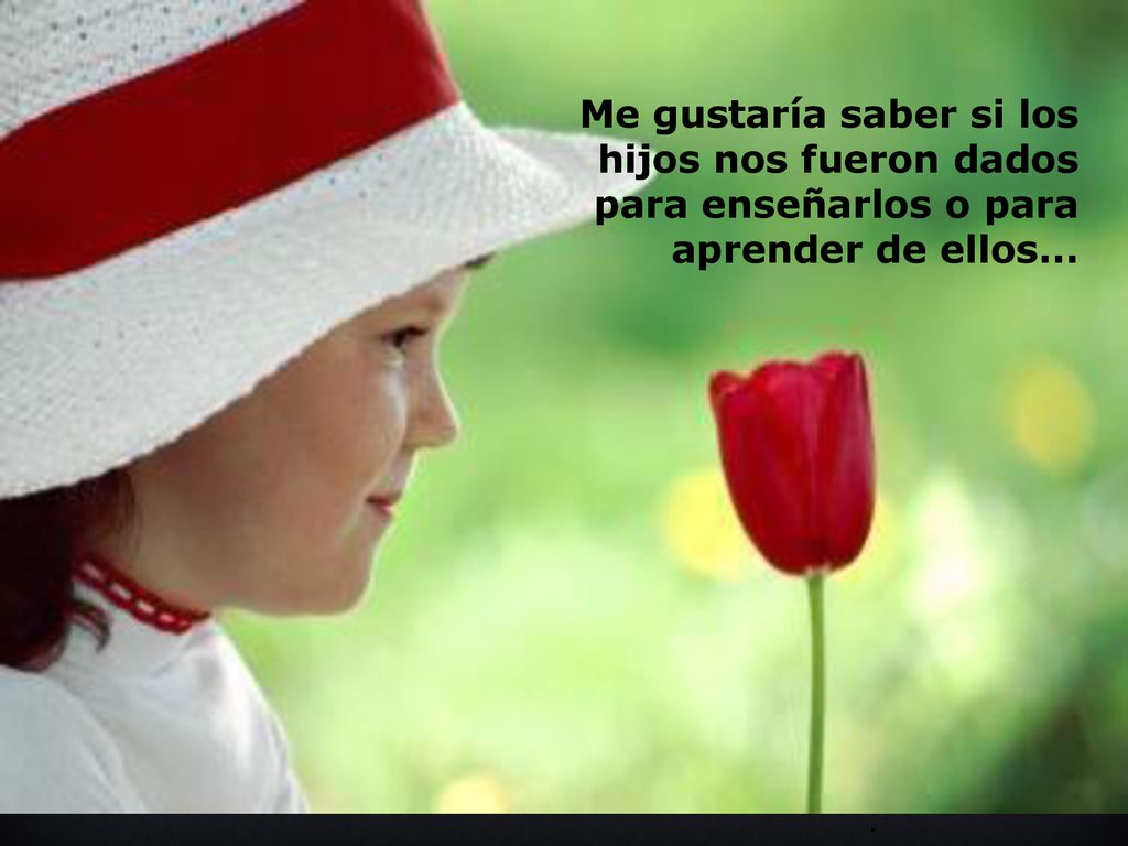 Me gustaría saber si los hijos nos fueron dados para enseñarlos o para aprender de ellos...