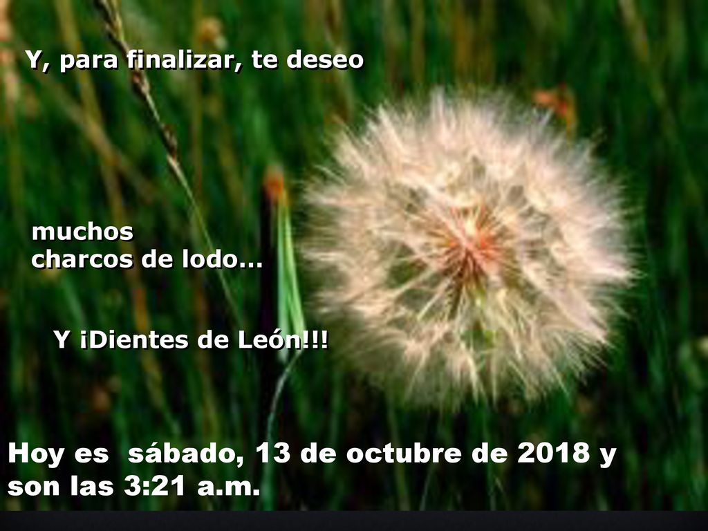 Hoy es sábado, 13 de octubre de 2018 y son las 3:21 a.m.