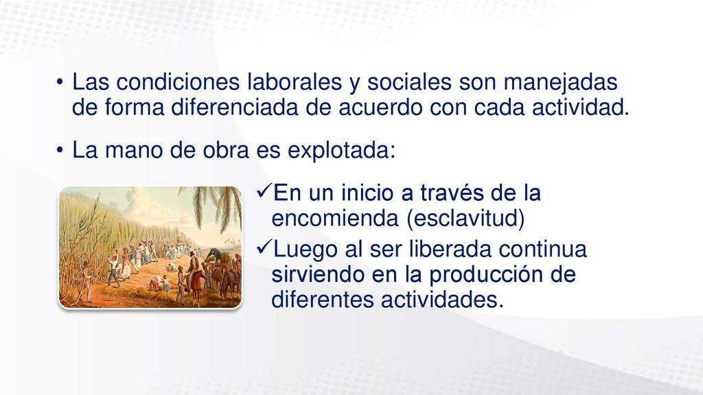Las condiciones laborales y sociales son manejadas de forma diferenciada de acuerdo con cada actividad.
