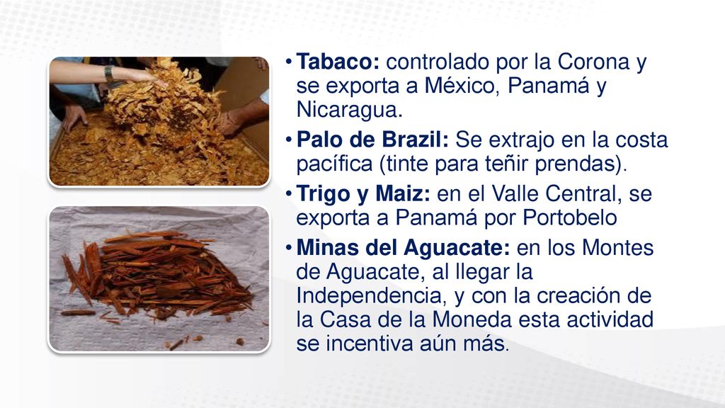 Tabaco: controlado por la Corona y se exporta a México, Panamá y Nicaragua.