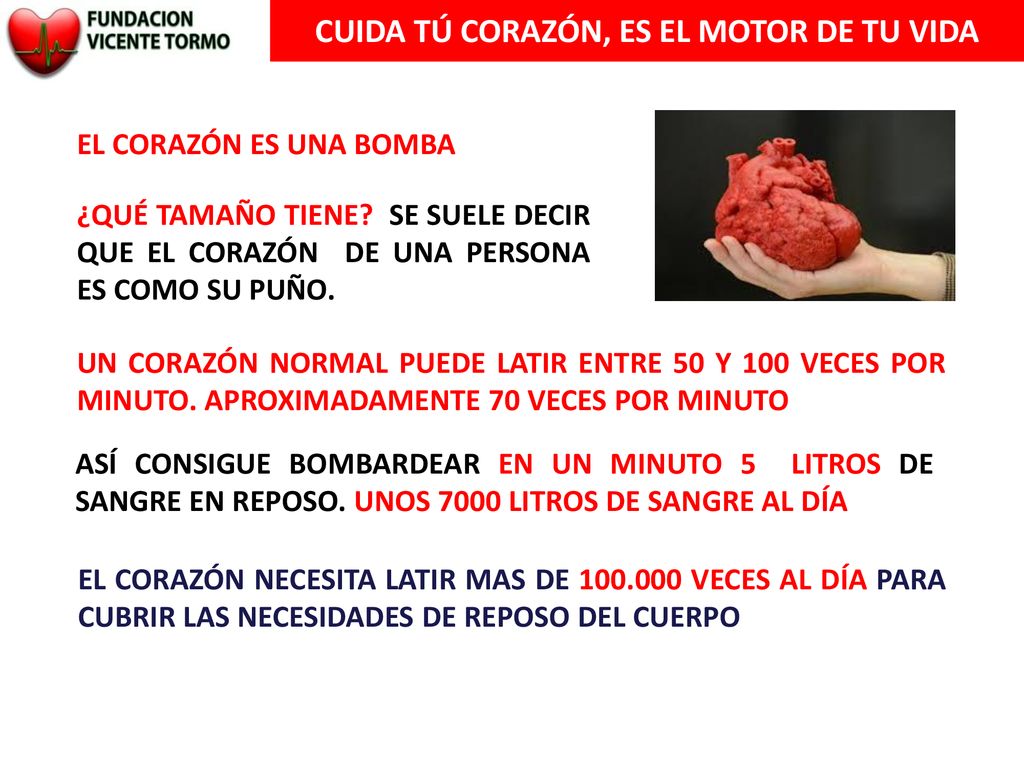 CUIDA TÚ CORAZÓN, ES EL MOTOR DE TU VIDA