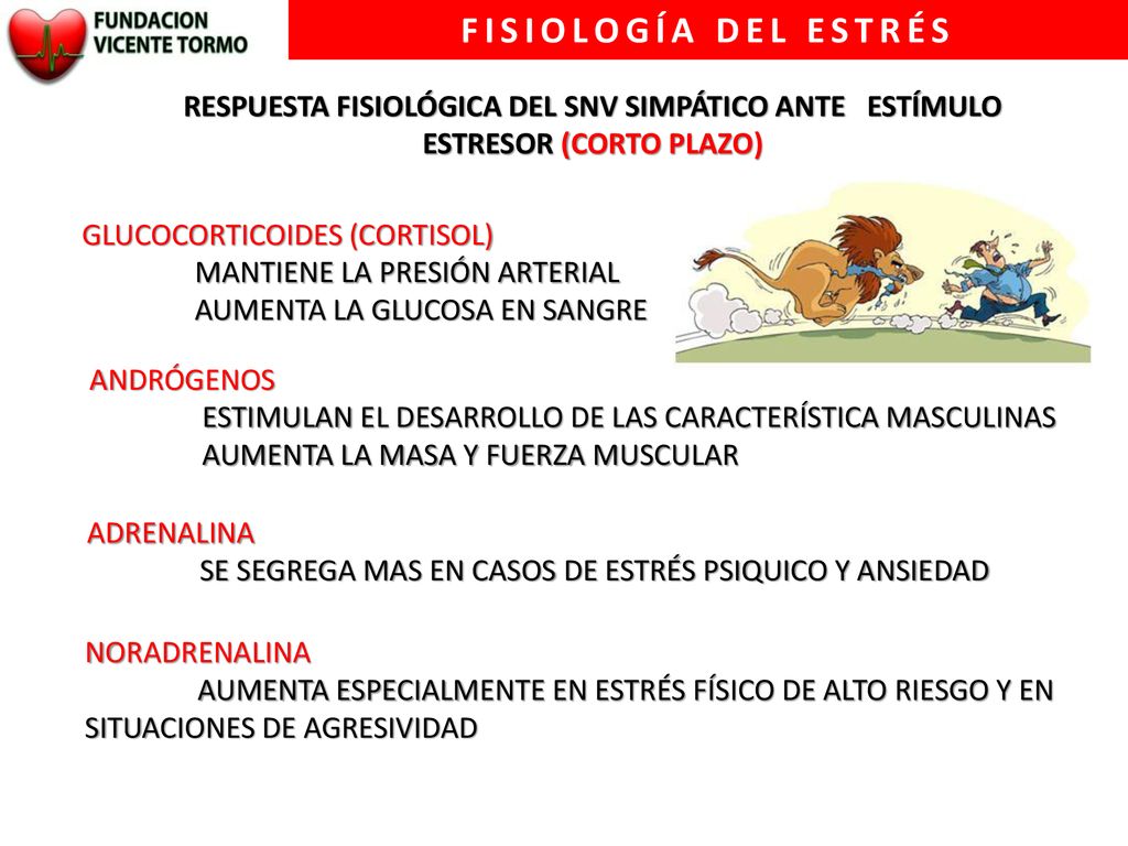 FISIOLOGÍA DEL ESTRÉS RESPUESTA FISIOLÓGICA DEL SNV SIMPÁTICO ANTE ESTÍMULO ESTRESOR (CORTO PLAZO)