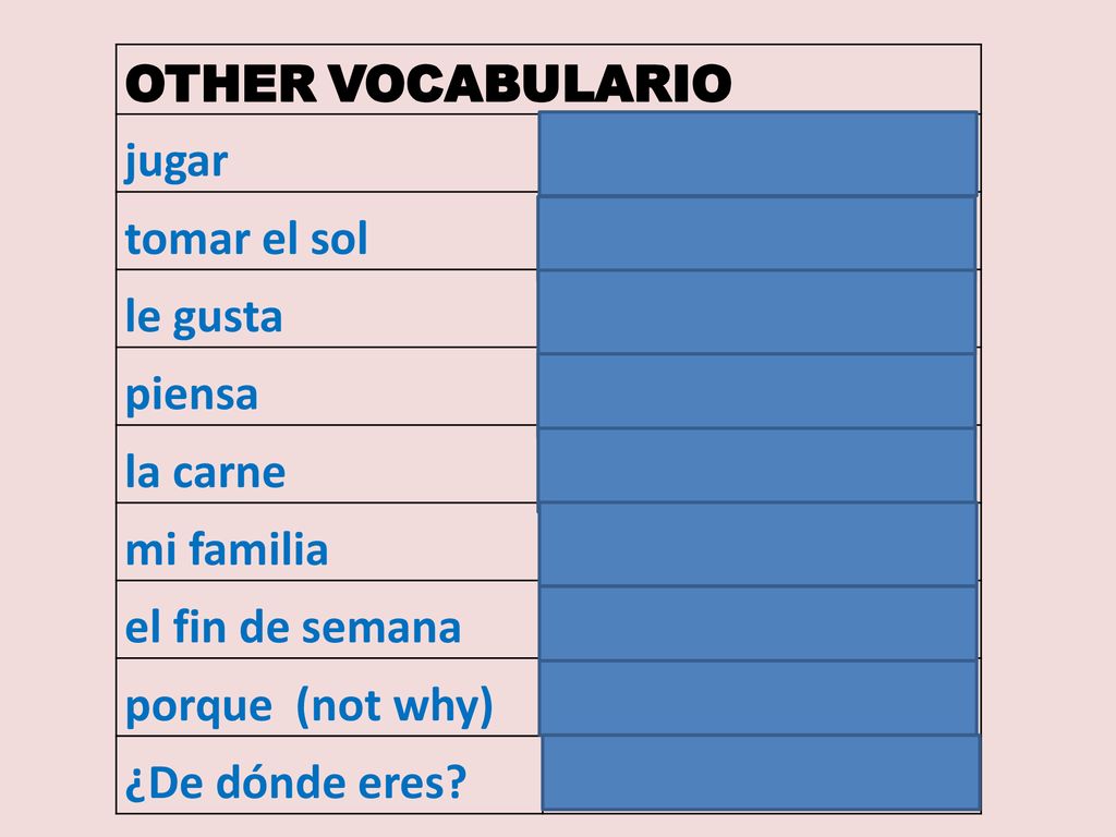 OTHER VOCABULARIO jugar tomar el sol le gusta piensa la carne