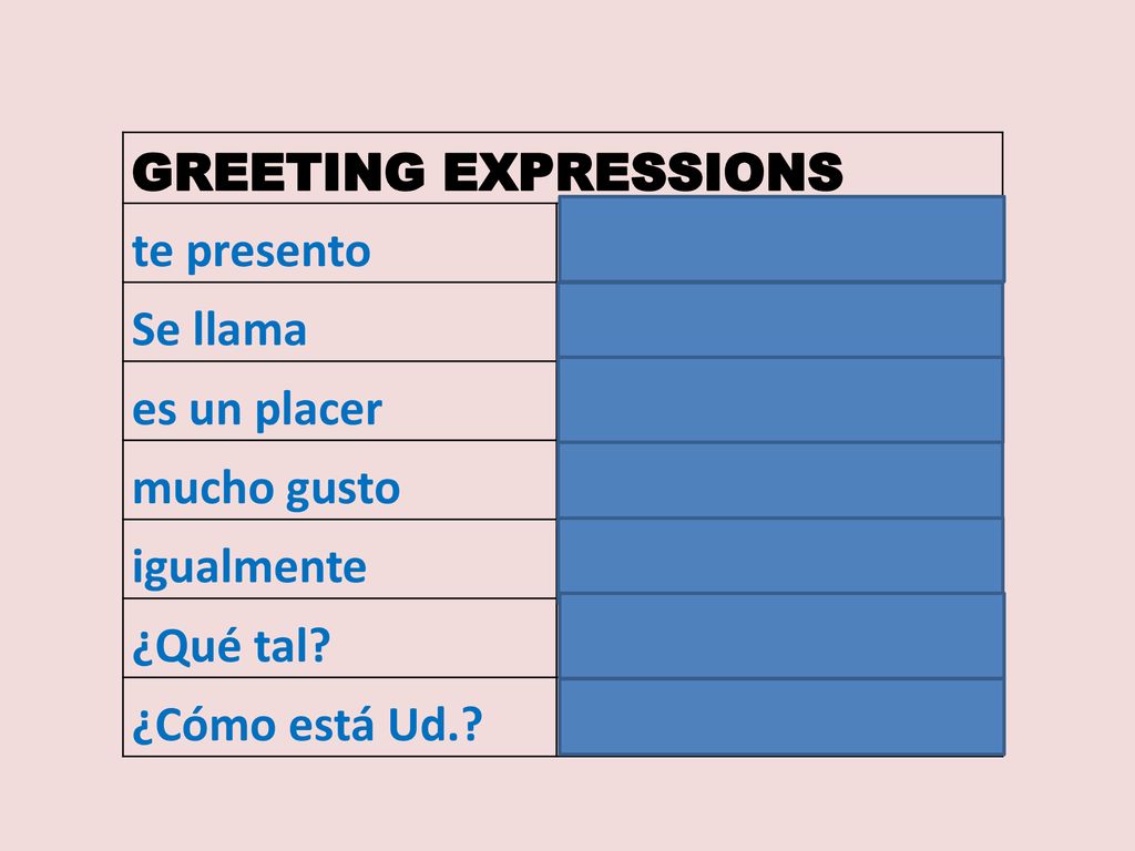 GREETING EXPRESSIONS te presento Se llama es un placer mucho gusto