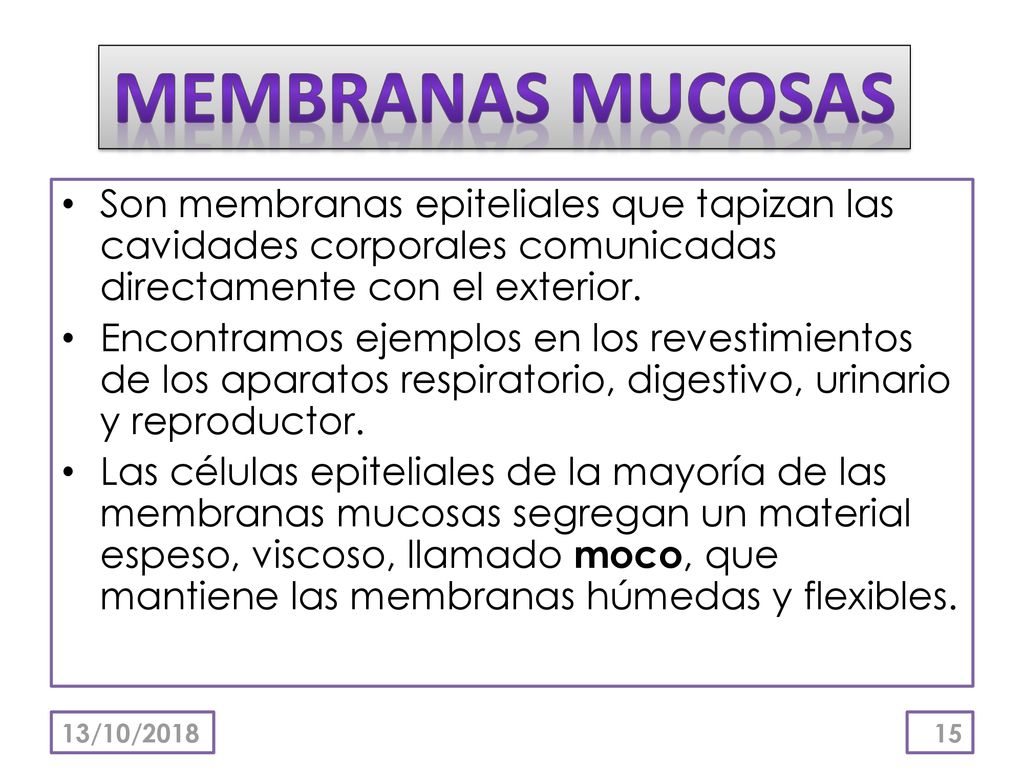 MEMBRANAS MUCOSAS Son membranas epiteliales que tapizan las cavidades corporales comunicadas directamente con el exterior.