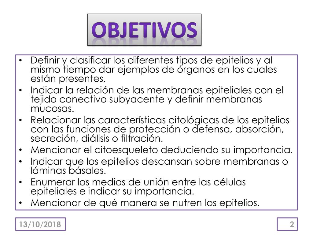 OBJETIVOS Definir y clasificar los diferentes tipos de epitelios y al mismo tiempo dar ejemplos de órganos en los cuales están presentes.
