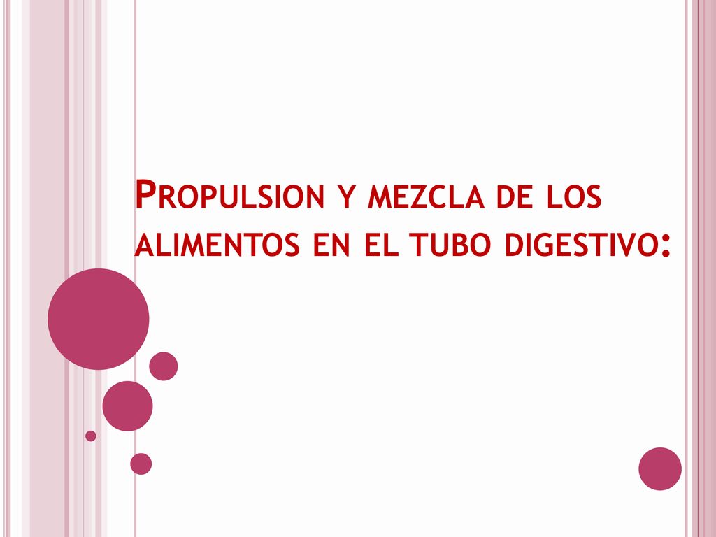 Propulsion y mezcla de los alimentos en el tubo digestivo:
