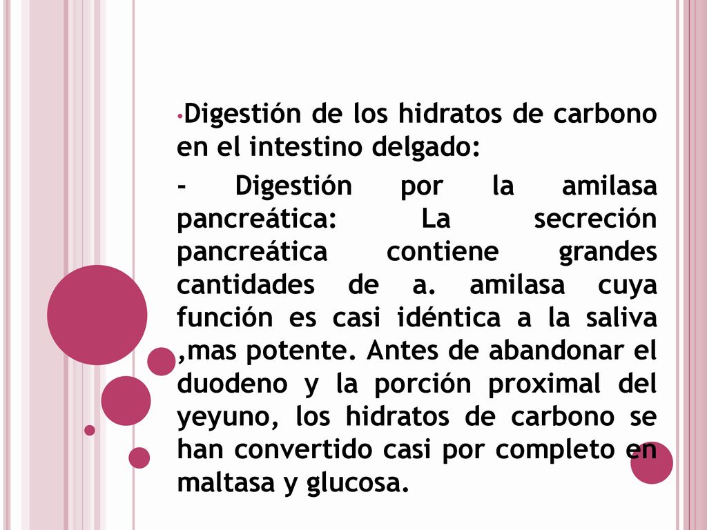 Digestión de los hidratos de carbono en el intestino delgado: