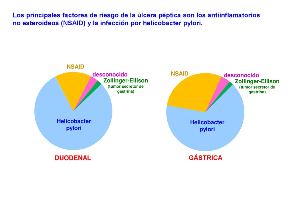 Los principales factores de riesgo de la úlcera péptica son los antiinflamatorios no esteroideos (NSAID) y la infección por helicobacter pylori.