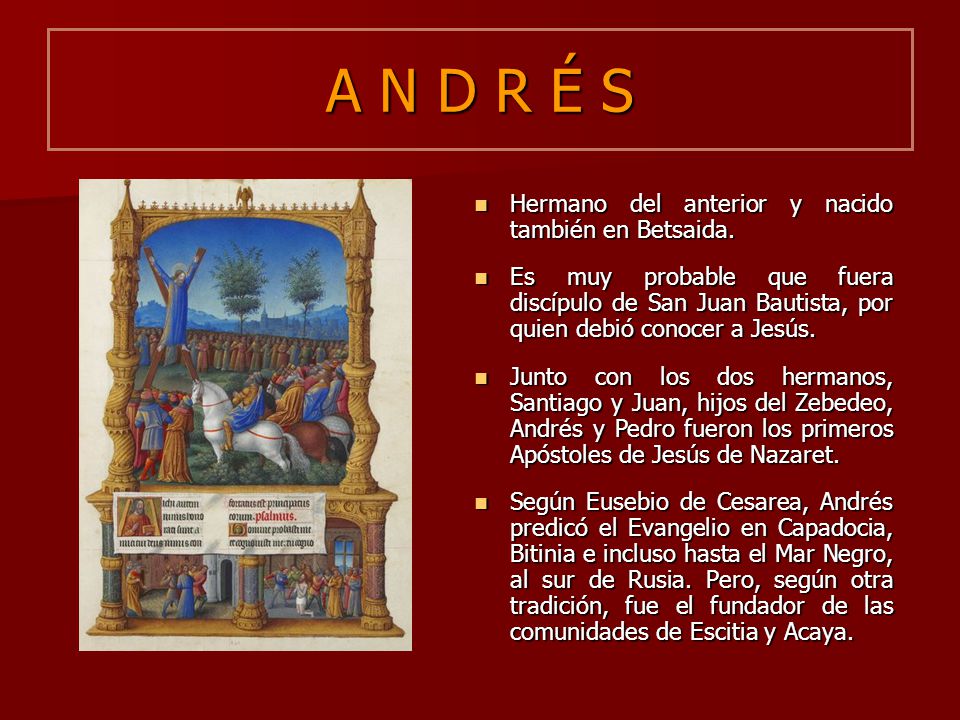 A N D R É S Hermano del anterior y nacido también en Betsaida.