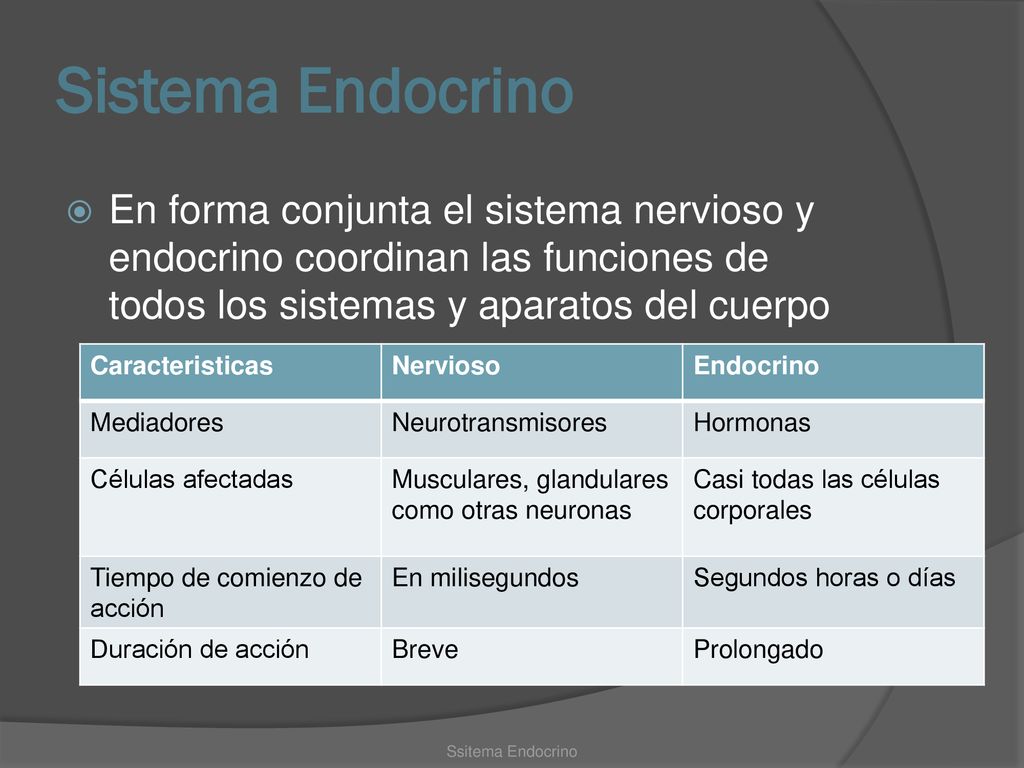 Sistema Endocrino En forma conjunta el sistema nervioso y endocrino coordinan las funciones de todos los sistemas y aparatos del cuerpo.