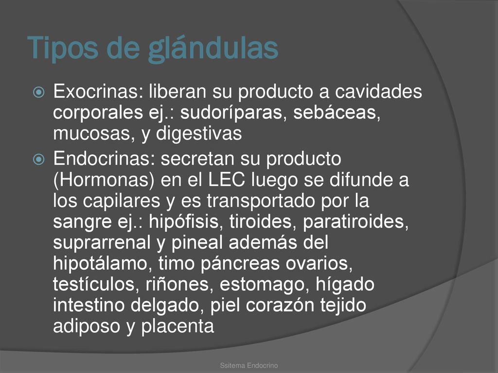Tipos de glándulas Exocrinas: liberan su producto a cavidades corporales ej.: sudoríparas, sebáceas, mucosas, y digestivas.