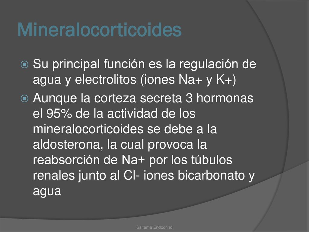 Mineralocorticoides Su principal función es la regulación de agua y electrolitos (iones Na+ y K+)