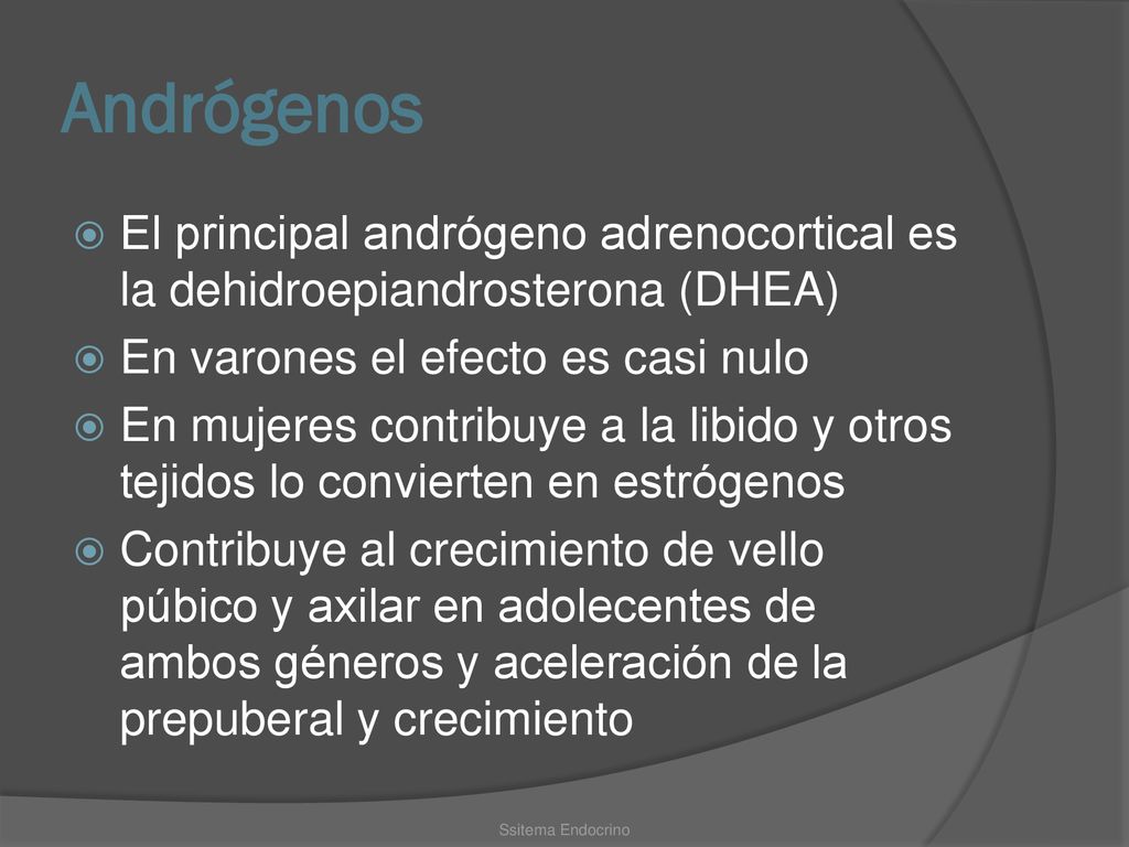 Andrógenos El principal andrógeno adrenocortical es la dehidroepiandrosterona (DHEA) En varones el efecto es casi nulo.