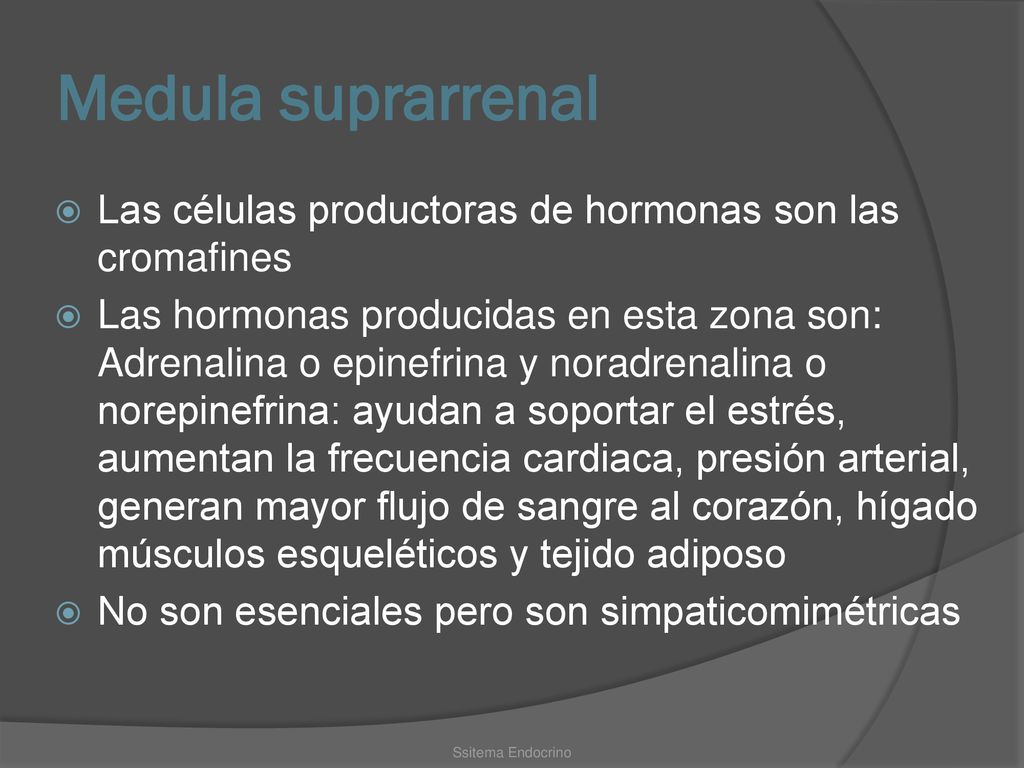 Medula suprarrenal Las células productoras de hormonas son las cromafines.