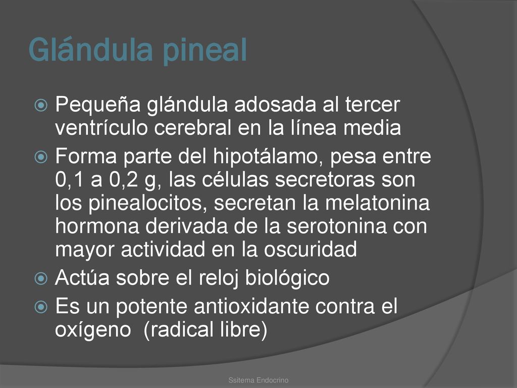 Glándula pineal Pequeña glándula adosada al tercer ventrículo cerebral en la línea media.