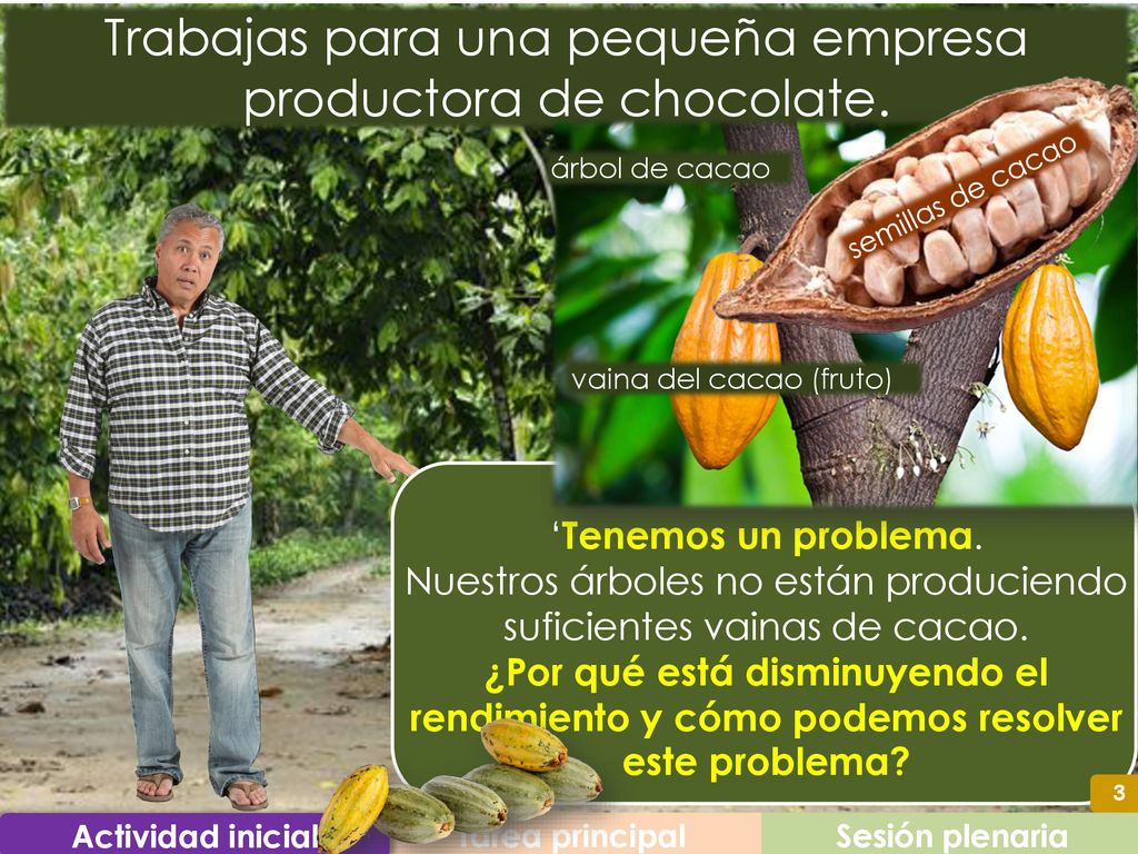 Trabajas para una pequeña empresa productora de chocolate.