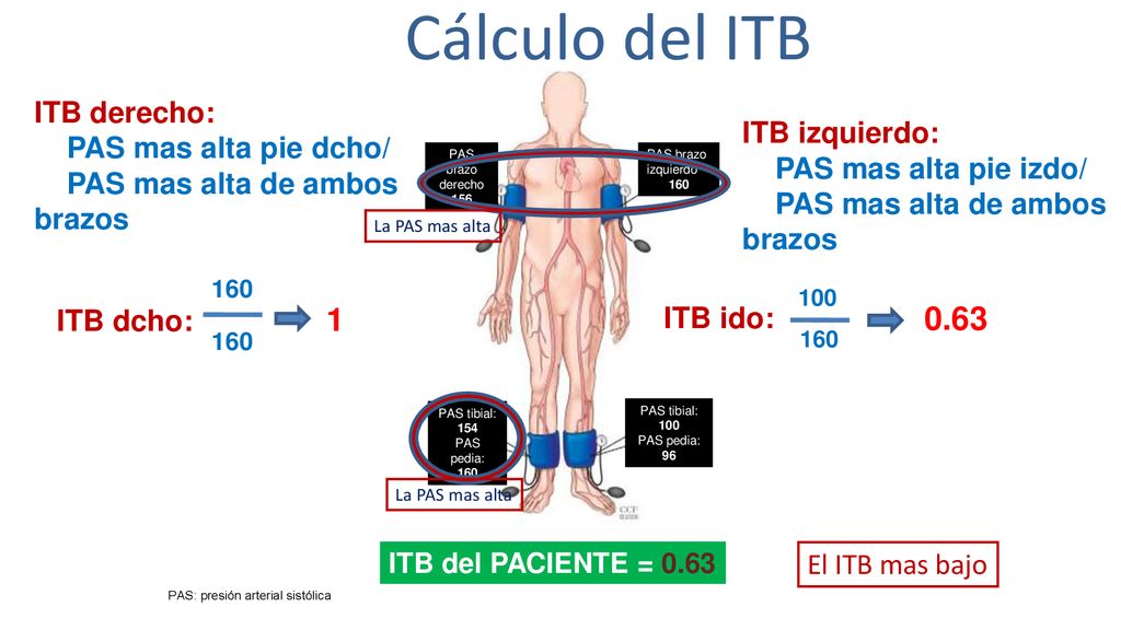 CaminaMadrid : Identificar persona/pie de riesgo. Seguimiento - ppt  descargar