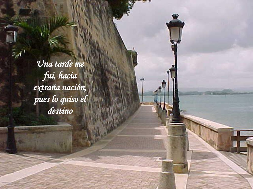 Una tarde me fui, hacia extraña nación, pues lo quiso el destino