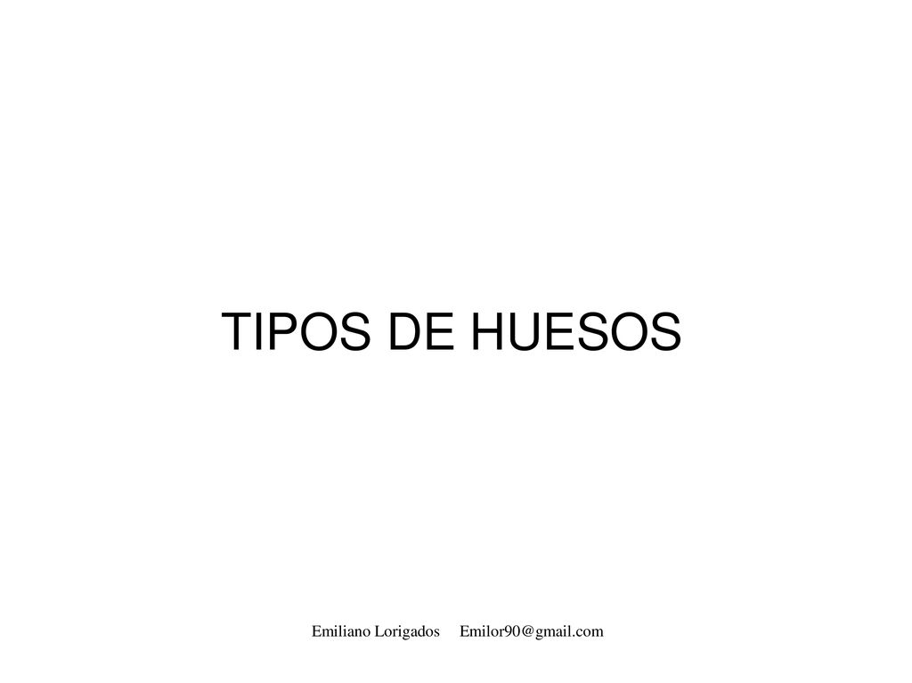TIPOS DE HUESOS Emiliano Lorigados